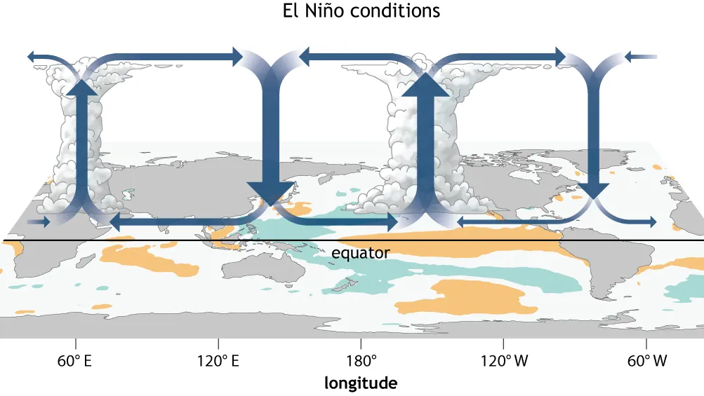El Niño circulation