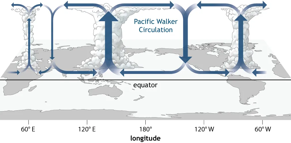 Pacific Walker Circulation