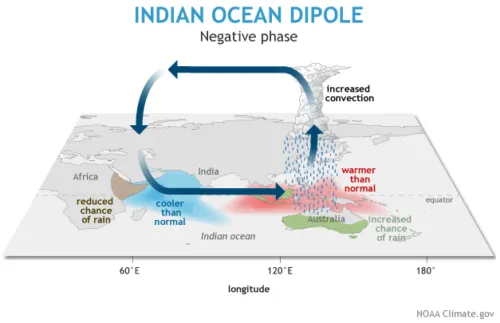 Negative Phase of the Indian Ocean Dipole