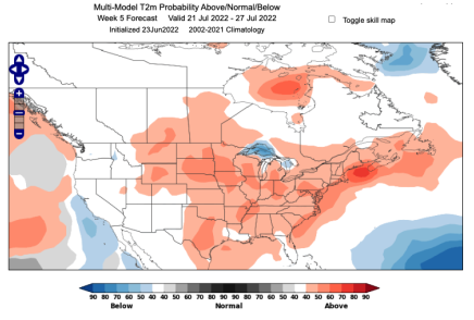 Five Week Lead Subseasonal Forecast