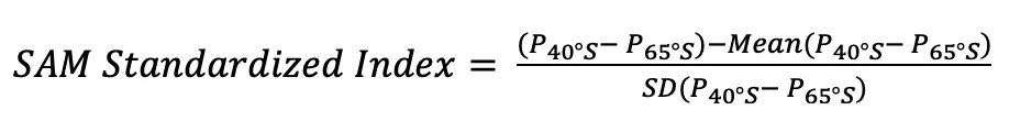 SAM Standardized Index
